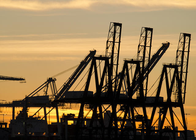 Cranes at Sunset